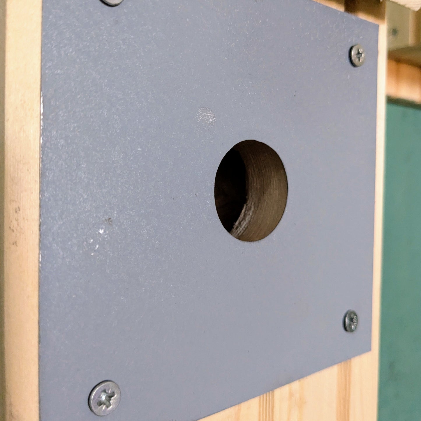 Fuglehus - hulbeskytter